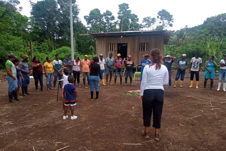Con el apoyo del Programa Rutas PDET, comunidades reconocidas como víctimas del conflicto armado del departamento de Putumayo, Caquetá y del municipio de Tumaco (Nariño) reciben capacitaciones en programas productivos de cacao y lácteos.