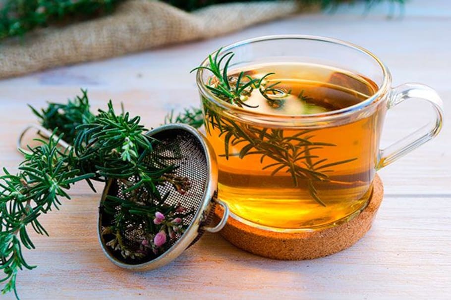 Acá te dejamos 5 beneficios que podría tener el té de romero en tu organismo. ¡No olvides consultar con tu médico para saber si puedes consumirlo!