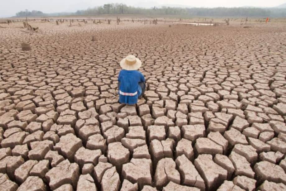 Los estragos del cambio climático, uno de los temas más expuestos en la Feria del libro de Guadalajara. / Cortesía