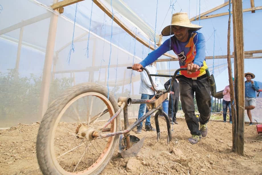 Herramienta que facilita la apertura de surcos en los cultivos una vez está preparada la tierra, creada en el encuentro internacional de diseño en Guaviare. / Fotos: Cortesía Unal