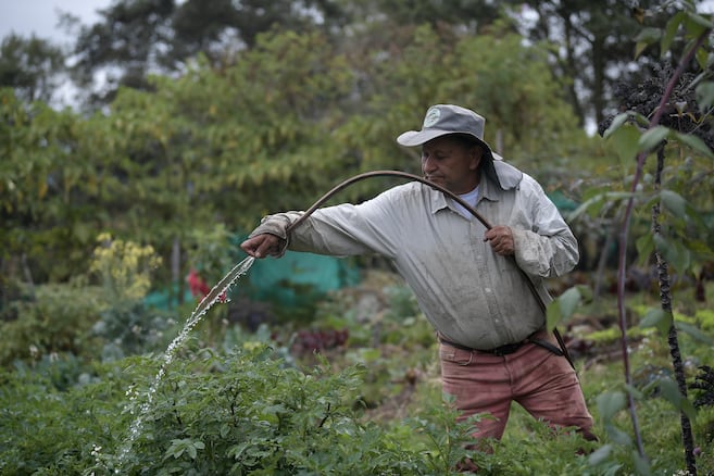 Los COP 44 billones que impulsan la productividad del campo colombiano