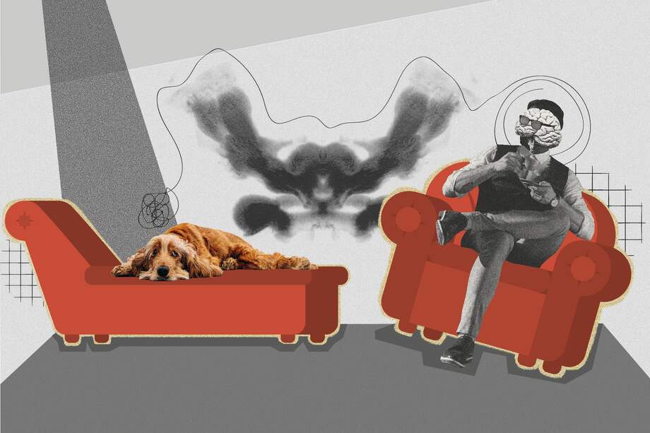 Una cita con un comunicador interespecie puede tener diversos costos que van desde los 100.000 a 500.000 pesos colombianos.