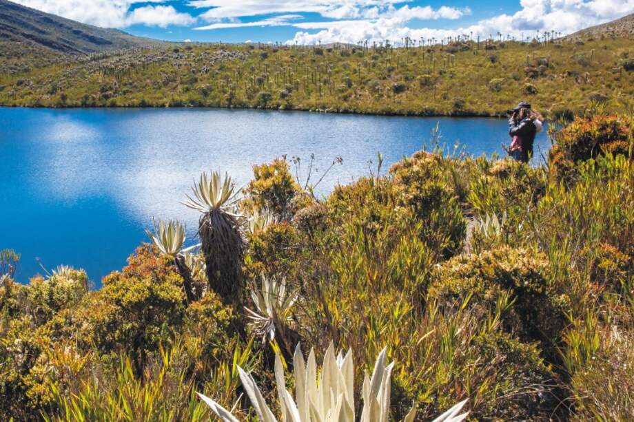 Young woman exploring the nature of a beautiful paramo at the department of Cundinamarca in Colombia