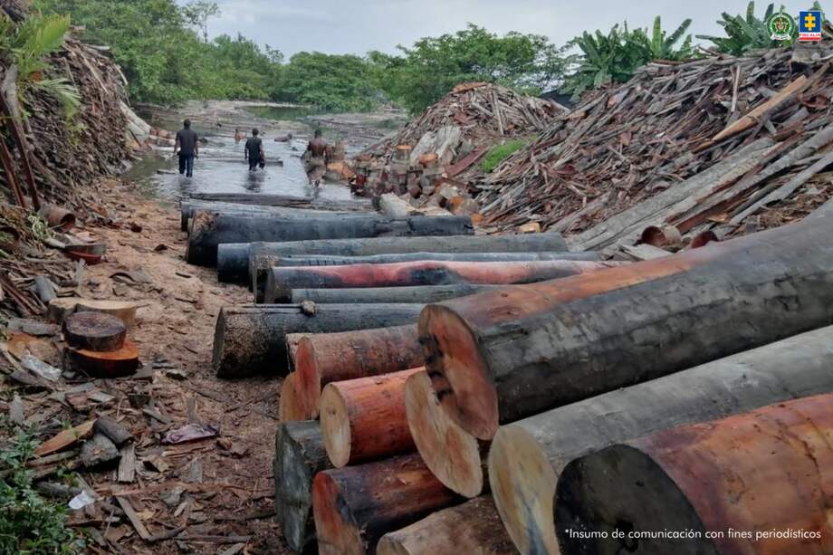 Según la Fiscalía, en los últimos cuatro años, esta banda habría comercializado cerca de 5.000 metros cúbicos de madera, proveniente del Pacifico colombiano.