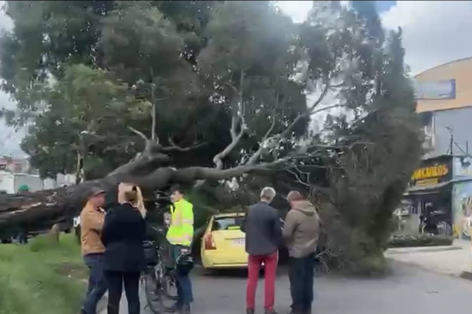Se presenta una novedad vial en la avenida Esperanza con carrera 81, en sentido occidente–oriente, en la localidad de Fontibón, luego de que un árbol cayera sobre un vehículo tipo taxi.