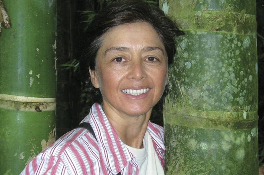 Ximena Londoño, la reina del bambú
