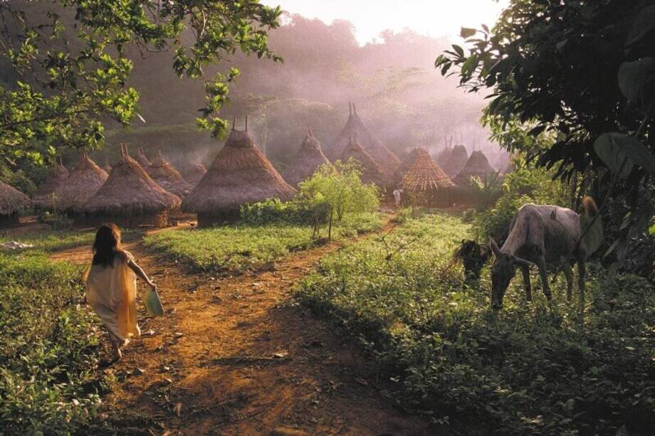 Indígenas de la Sierra Nevada de Santa Marta afirman que la llegada del coronavirus afectaría en gran medida su comunidad. / Stephen Ferry