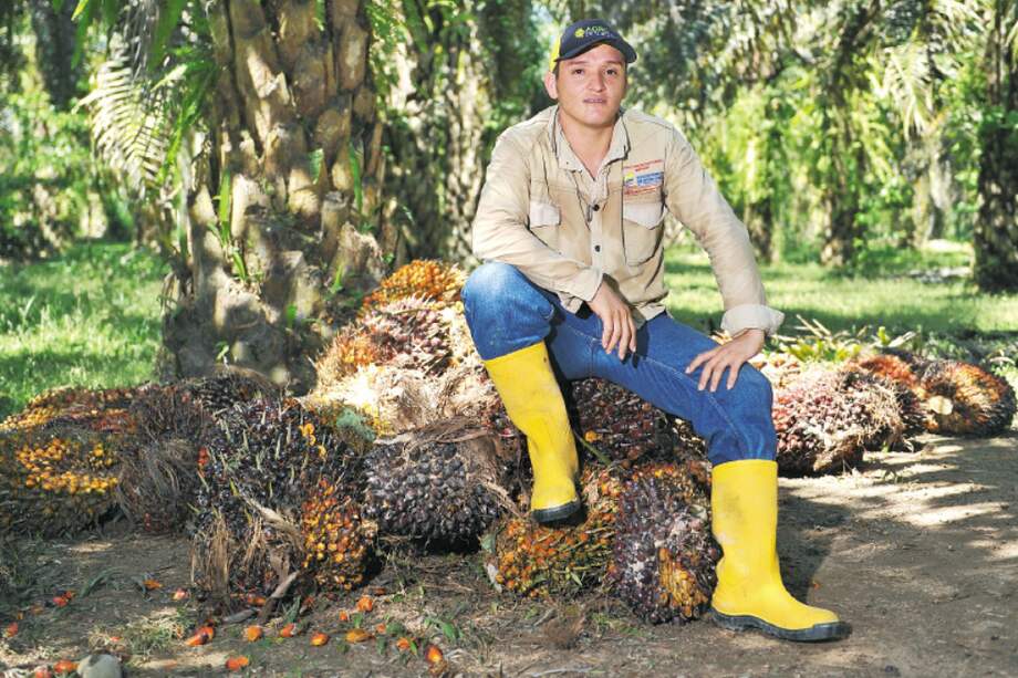 Éider González, quien trabaja en la plantación hace siete años, financió sus estudios con este empleo. / Gustavo Torrijos