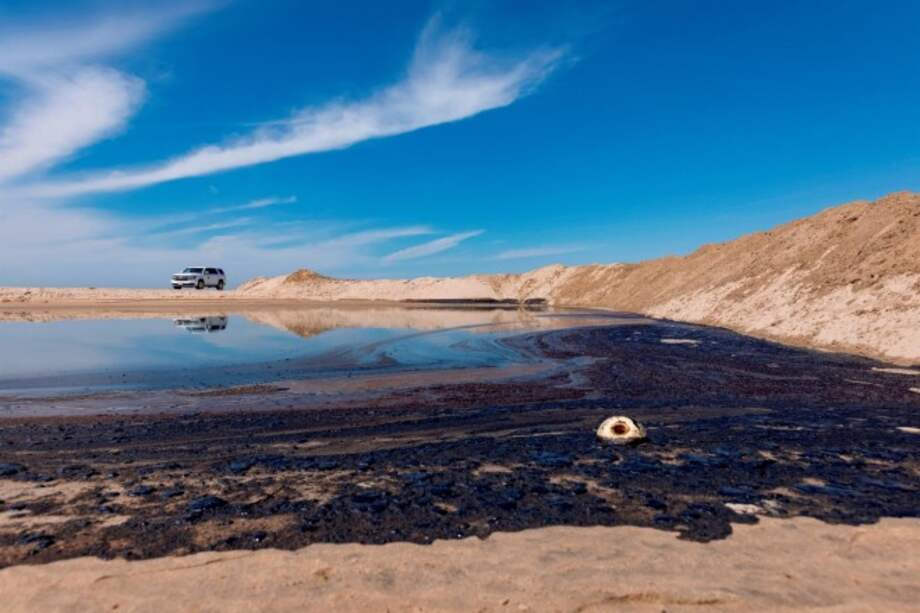 Una de las áreas que más preocupa a las autoridades es el humedal de Talbert Marsh, una reserva natural en Huntington Beach que es el hogar de decenas de especies de aves.