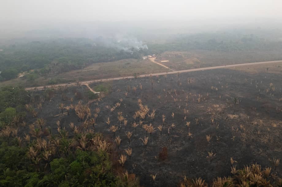 La deforestación en Colombia creció frente a 2024: en 2025 el país perdió 119.000 hectáreas