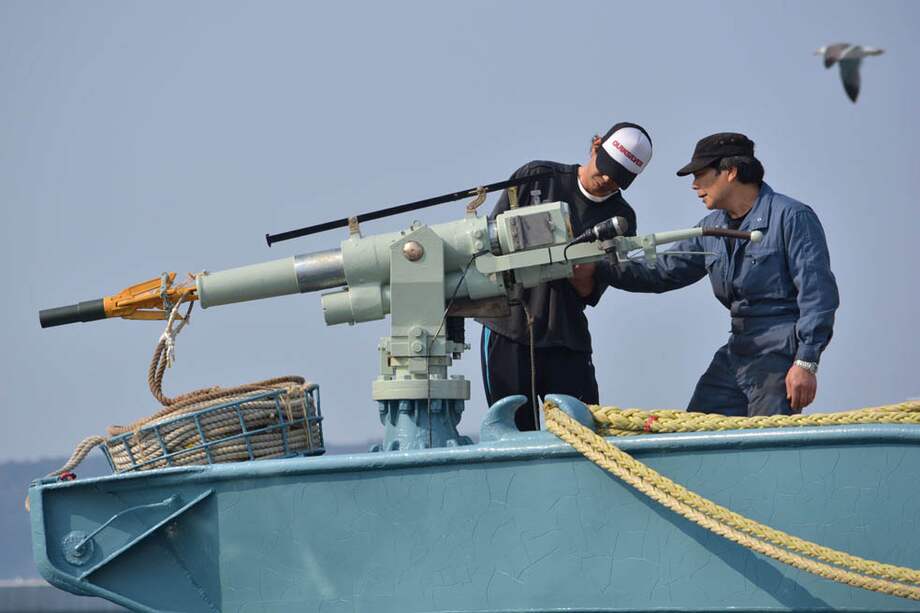 Marineros japoneses inspeccionan un arpón a su salida del puerto de Ayukawa para la temporada de caza en aguas del Pacífico Norte. / AFP