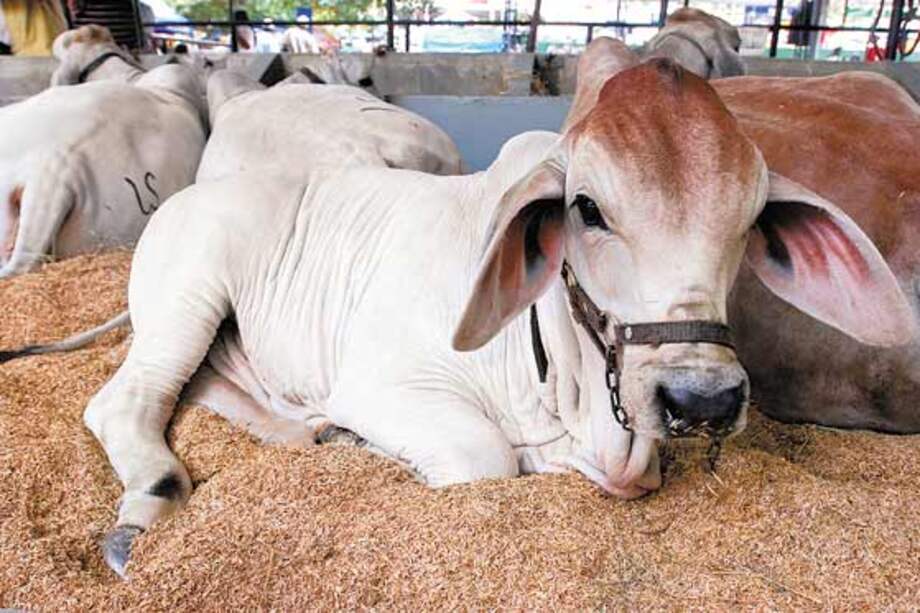 Archivo El Espectador