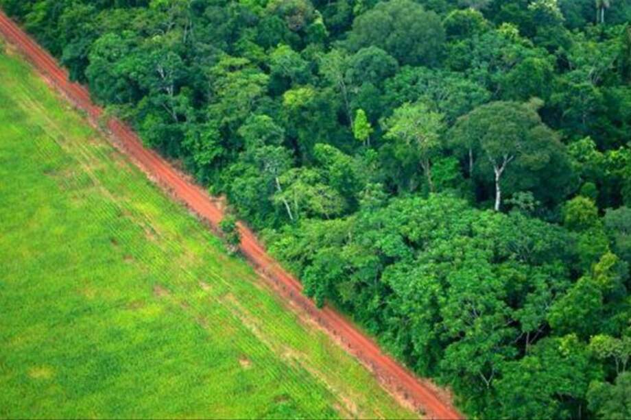 Paisaje cerca de Río Branco, en la Amazonía, donde cerca del 20% del ecosistema ha sido talado o destruido en los últimos 40 años. / Cortesía Conservación Internacional