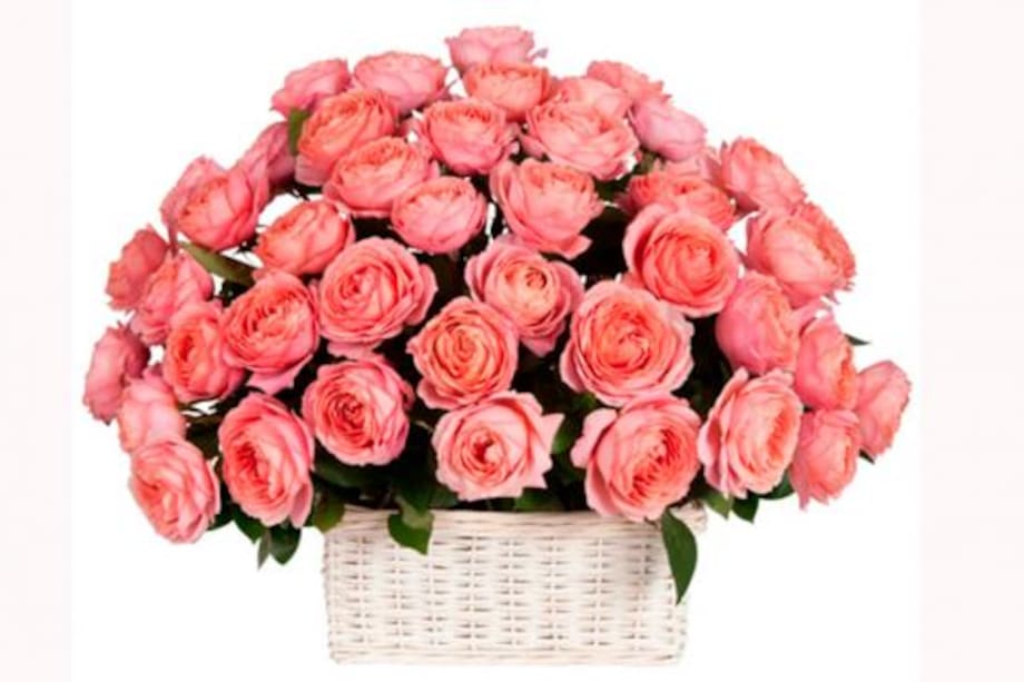 Rosas para regalar a mamá