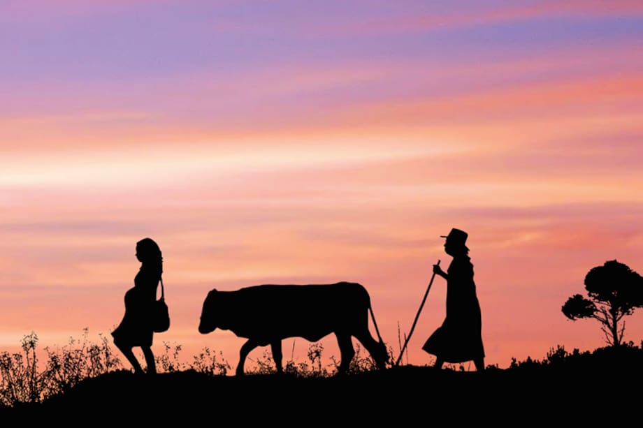 ¿Por qué debes ir a ver la película colombiana ‘Dos mujeres y una vaca’?