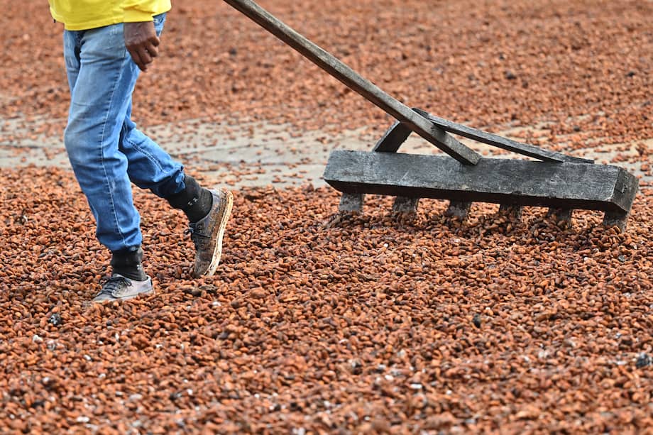 Las ventas externas del agro crecieron 39,8 % en noviembre, comparado con el mismo mes de 2024.