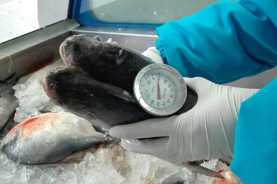 Secretaría de Salud