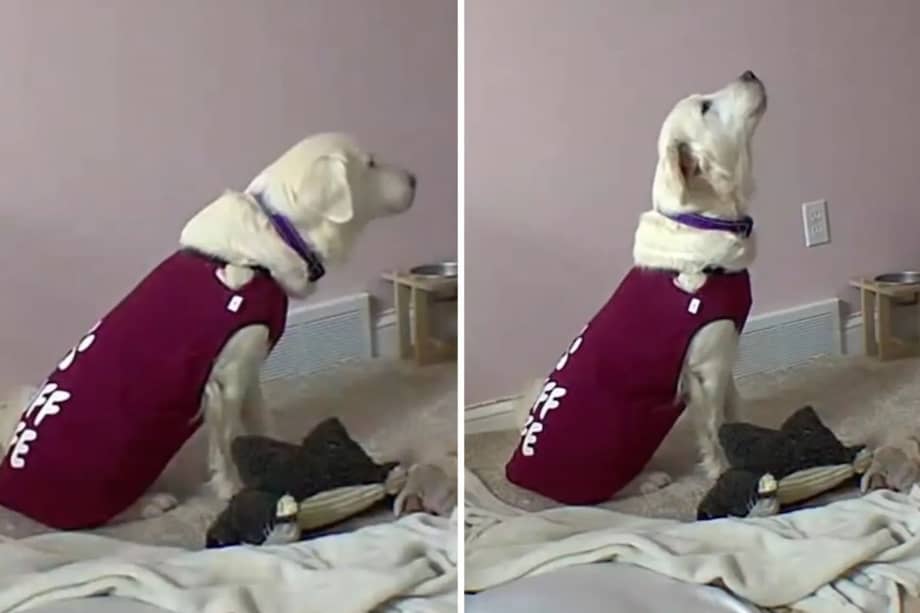 Uno de los cambios más significativos fue descubrir que se tranquiliza al dormir con una camiseta de su cuidadora.