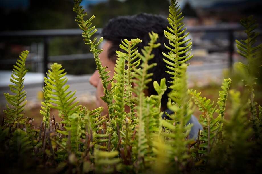 Su historia es una reflexión para el Día del Periodista y el Día de las Manos Rojas, que busca concientizar sobre el reclutamiento forzado de menores.