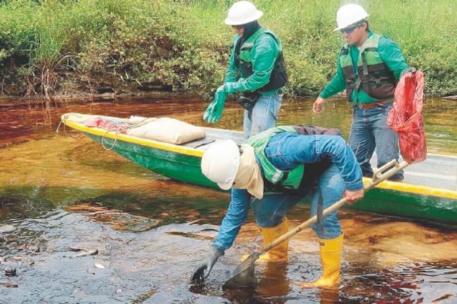 Imagen de referencia. / EFE