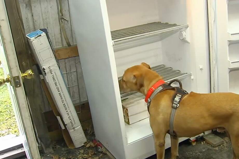 Con esto se pensaba ayudar especialmente a los ancianos del establecimiento, que por estas épocas sienten mayor soledad.