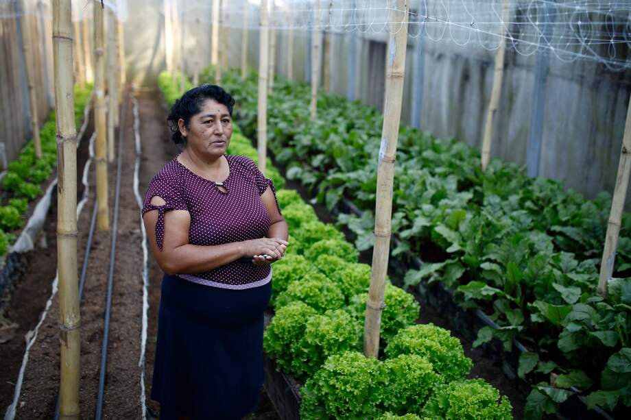 Fotografía del 21 de marzo de 2025 de Carmen López posando en su huerto de cultivo de lechugas, pepinos y tomates en Comasagua (El Salvador).