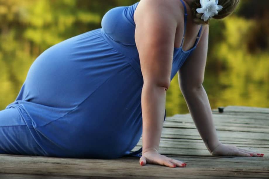 Tomada de Pixabay/Referencia