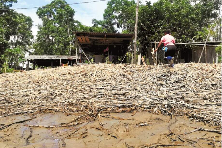 En el lodo del Anchicayá hay un liquido de consistencia aceitosa que emana un fuerte olor químico. / Fotos: Nicolás Sánchez