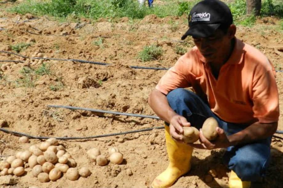 Cortesía / Cortesía