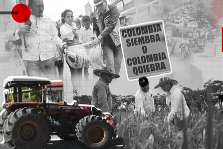 El Espectador le explica qué es lo que pasa con los arroceros