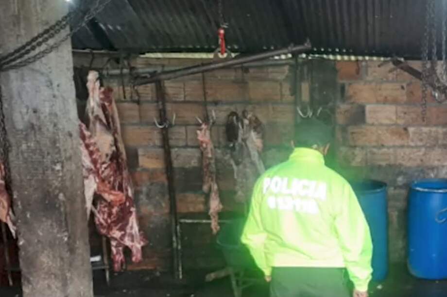 “Los Pelones” se dedicaban al hurto, sacrificio y comercialización de ganado en los municipios de Une, Cáqueza y Chipaque.