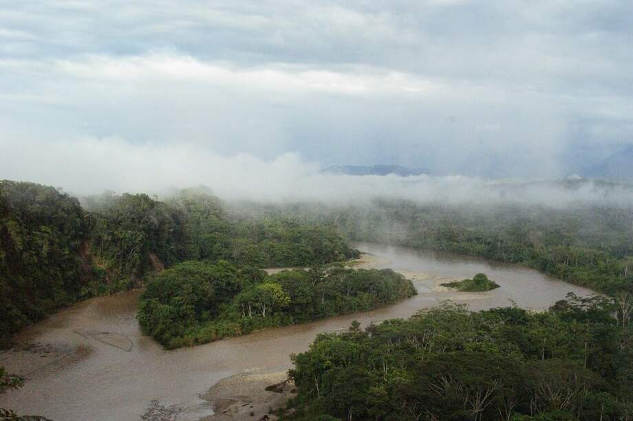 Imagen de la cuenca del Amazonas. / Dallas Krentzel - Flickr