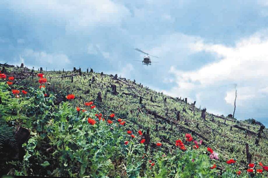 Glifosato, el informe oculto 30 años