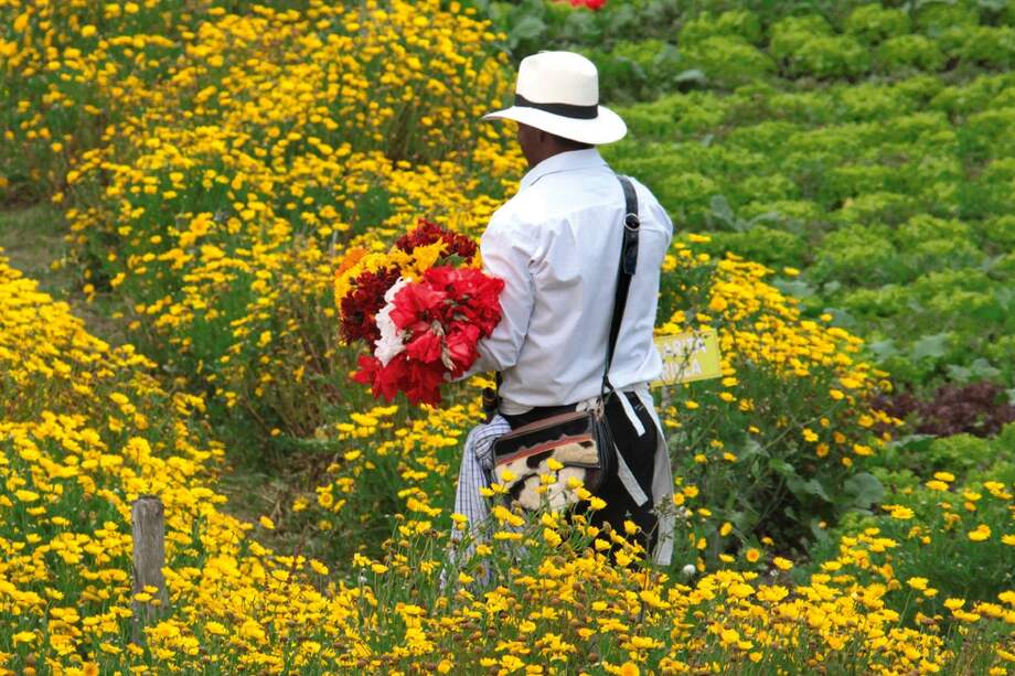 Los silleteros viven entre flores, no sólo para la época de feria. Ellos les abren sus puertas a turistas del mundo en cualquier época del año. / Héctor Hernán Vanegas - Tomadas del libro “Desfile de Silleteros 60 años”