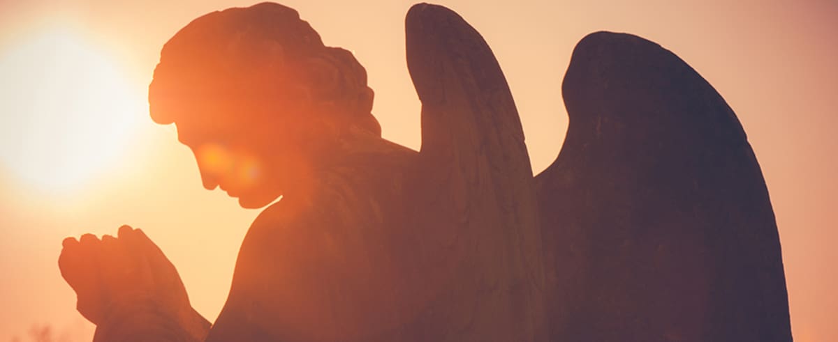 El vuelo de los ángeles para este 2019