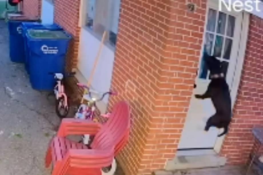 Mujer olvidó a su perrita afuera tras quedarse dormida y todo quedó grabado en cámara.