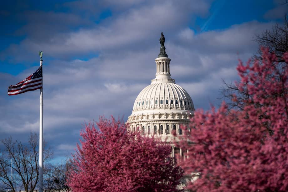 Washington (Usa), 08/03/2022.- Cherry Blossom trees bloom near the US Capitol in Washington, DC, USA 08 March 2022. The 2022 National Cherry Blossom Festival is scheduled to run from March 20 to April 17. (Estados Unidos) EFE/EPA/SHAWN THEW