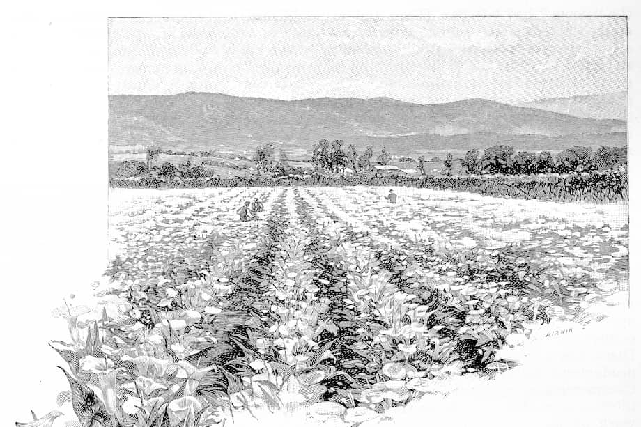 Imagen de referencia.