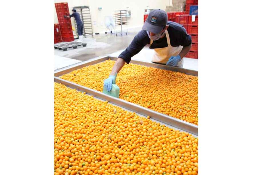 La compañía Terrafertil exporta al mes 40 toneladas de fruta. / Cortesía