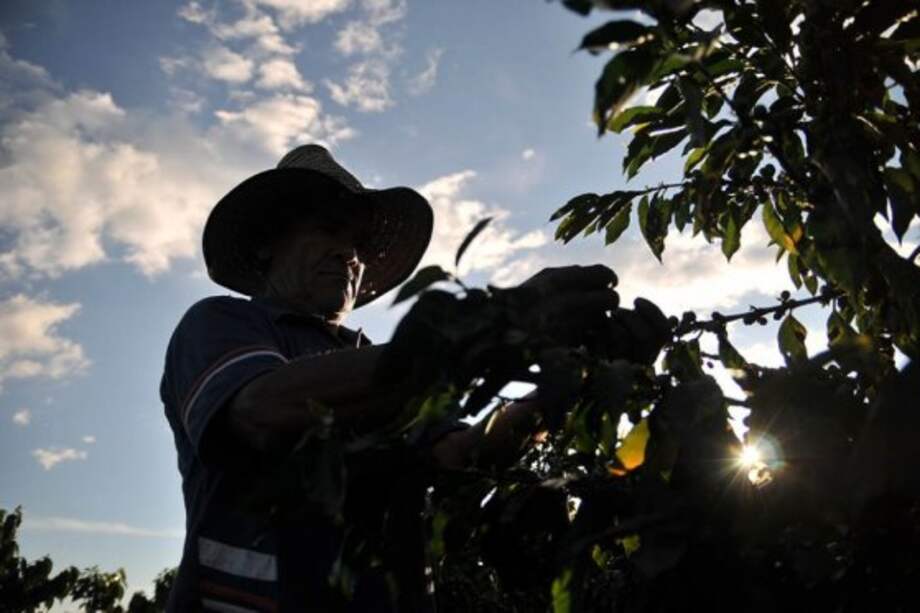 Archivo El Espectador / Archivo El Espectador