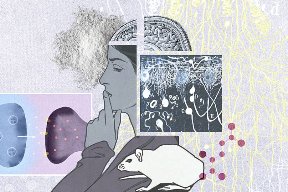 Comprender los cambios en el cerebro en el consumo de drogas es clave para desarrollo de fármacos que favorezcan la recuperación.