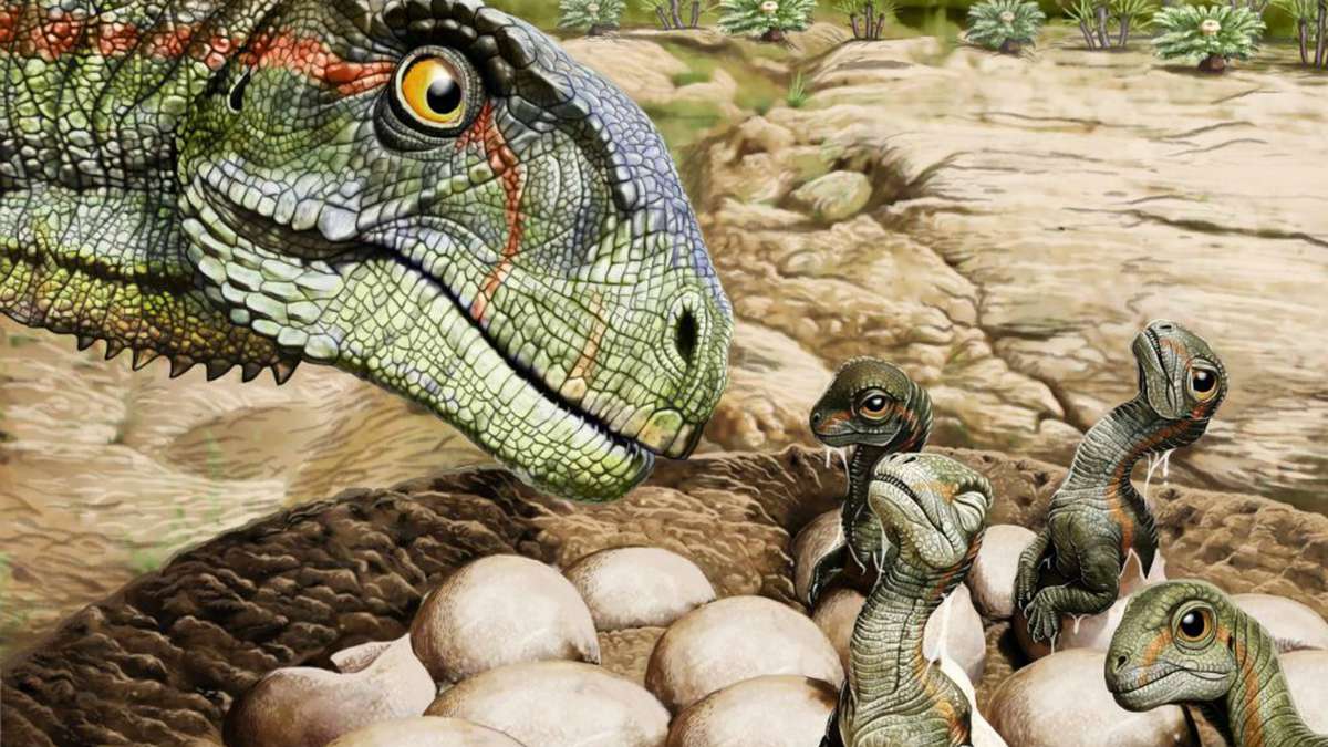 Estudio sugiere que los primeros dinosaurios ponían huevos con cáscara  blanda | EL ESPECTADOR