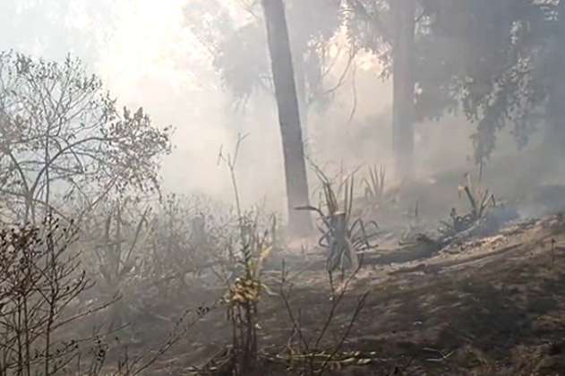No paran los incendios forestales en Cundinamarca: Bomberos controlan dos en Soacha