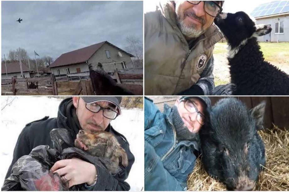 Imágenes del italiano que se quedó cuidando a los animales rescatados.