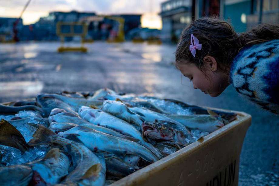 Según un estudio realizado por científicos islandeses, la percepción del olor a pescado depende de la variación o no del gen TAAR5.