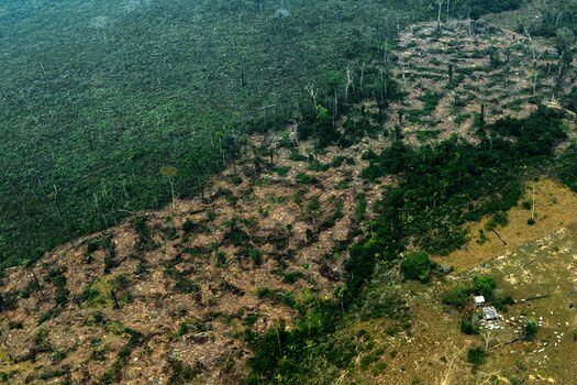 El Informe de Evaluación de la Amazonia pide cero deforestación y degradación de bosques en toda la región antes del 2030 para evitar un panorama catastrófico. / AFP / Lula Sampaio
