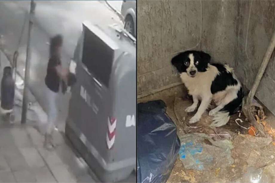 En el vídeo se observa como la mujer deja a su animal de compañía en una cesta de basura y decide huir.