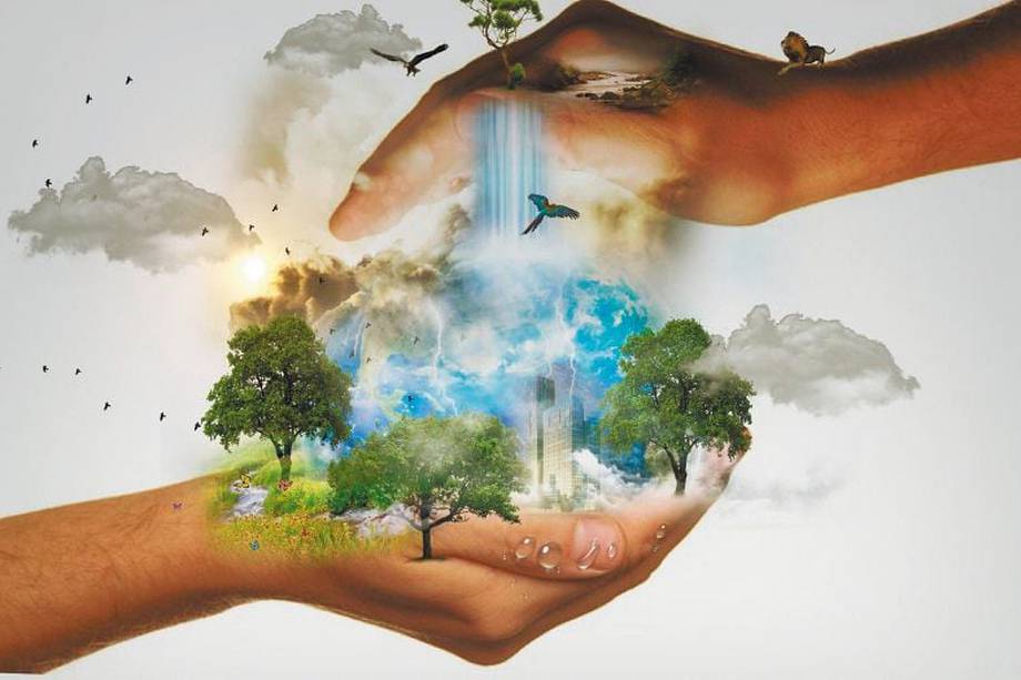 Hoy 5 de junio se celebra el Día mundial del medio ambiente. Te mostramos 8 formas de cuidar el planeta.