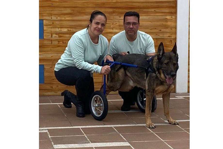 Esta pareja de hermanos crearon "Sillas de ruedas para perros Adeu" en el año 2019.