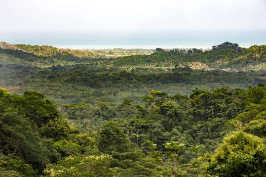 El Mapa de Restauración de Colombia, que será presentado hoy, “identifica las áreas prioritarias para la restauración, teniendo un balance entre los beneficios de conservación de biodiversidad, la mitigación del cambio climático y el costo de estas acciones para su implementación”. Crédito: Felipe Villegas - Instituto Humboldt